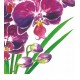 Pacote Com 20 Guardanapos De Papel 33x33cm Orchidea Napkin